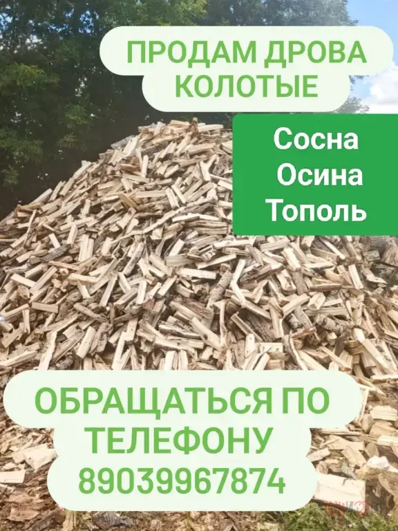 Продам дрова колотые. Сосна, Осина, Тополь.