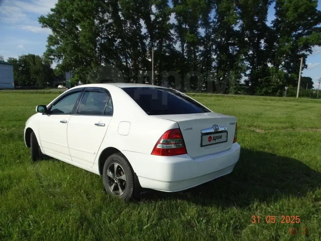 Продажа Toyota Corolla, 2002 год в Алейске