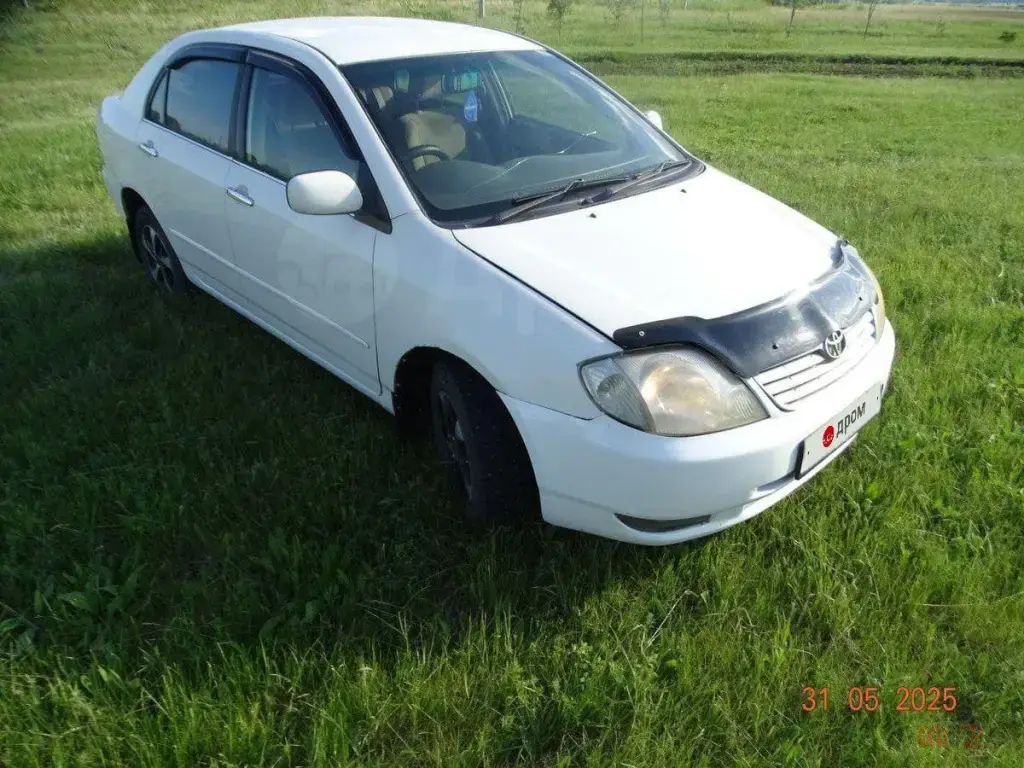 Продажа Toyota Corolla, 2002 год в Алейске