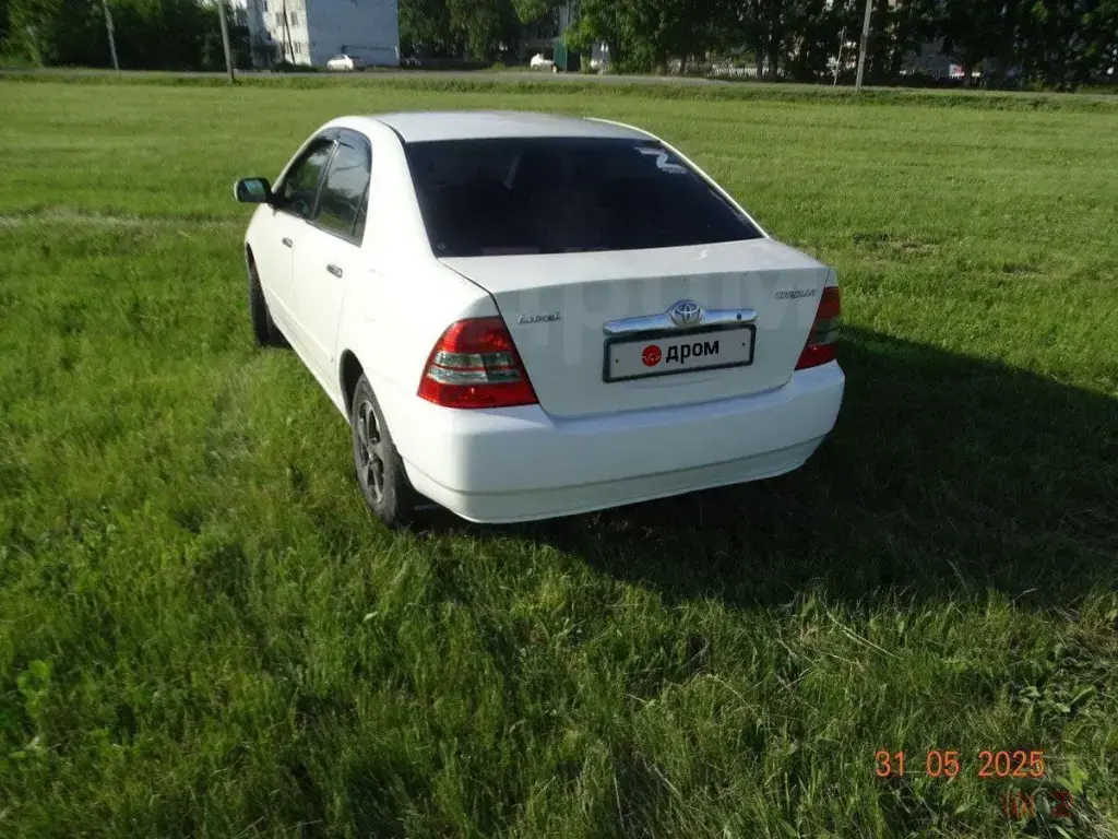 Продажа Toyota Corolla, 2002 год в Алейске