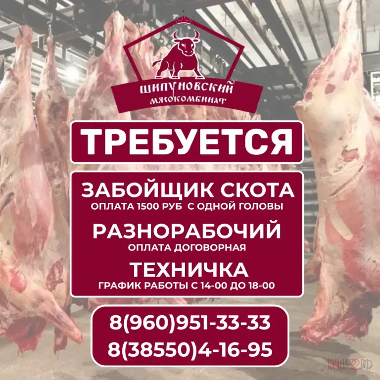 Требуется забойщик скота, техничка и разнорабочий в Шипуново