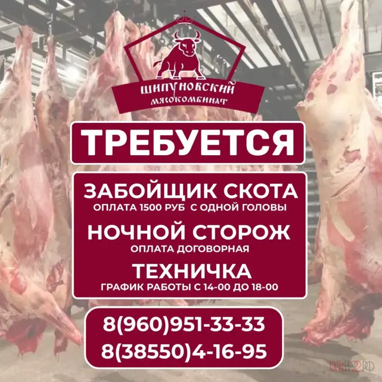 Требуется забойщик скота, техничка и ночной сторож в Шипуново