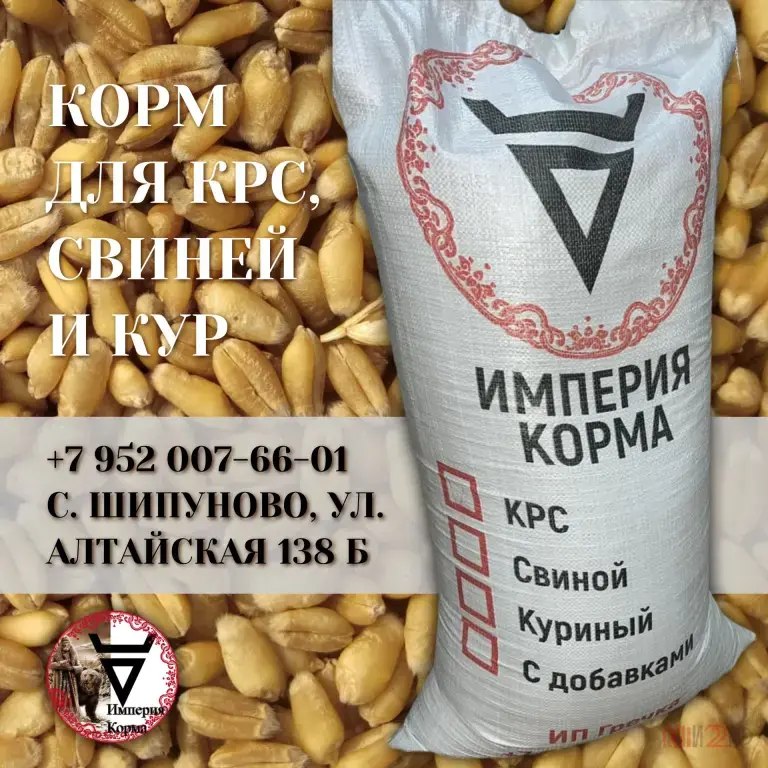 Здесь вы можете приобрести корм для КРС, свиней и кур в Шипуново