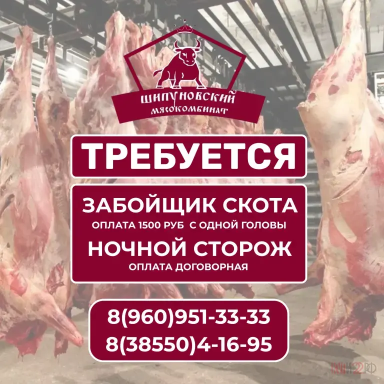 Требуется забойщик скота и ночной сторож в Шипуново