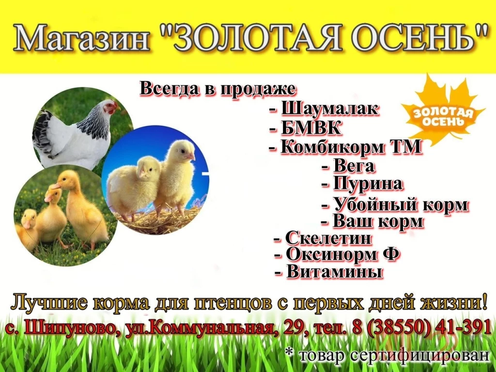 Магазин Золотая осень предлагает