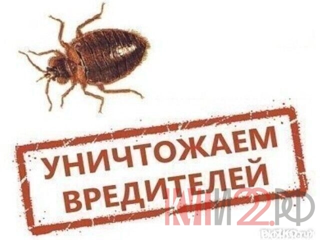 Обработка квартир от насекомых