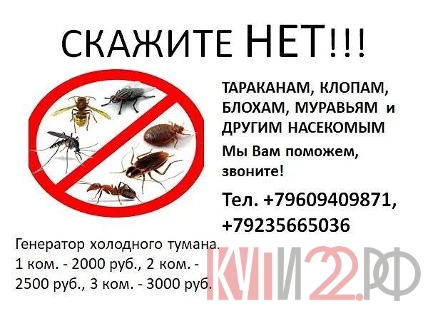 Обработка квартир, помещений от насекомых