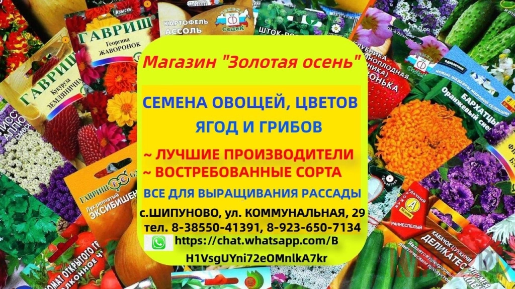 Магазин ЗОЛОТАЯ ОСЕНЬ