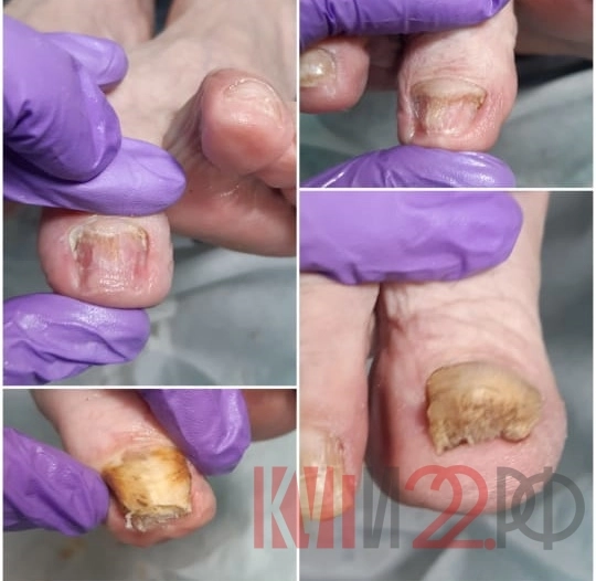 Nail - студия предлагает услуги красоты