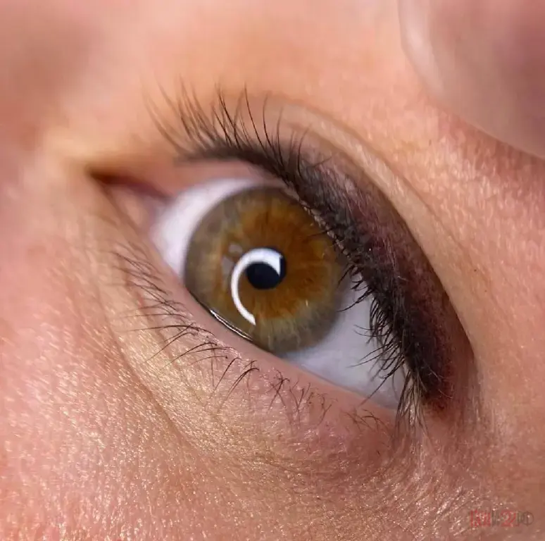 Перманентный макияж в Шипуново, скидка 30% на первую процедуру перманентного макияжа губ, век и бровей!