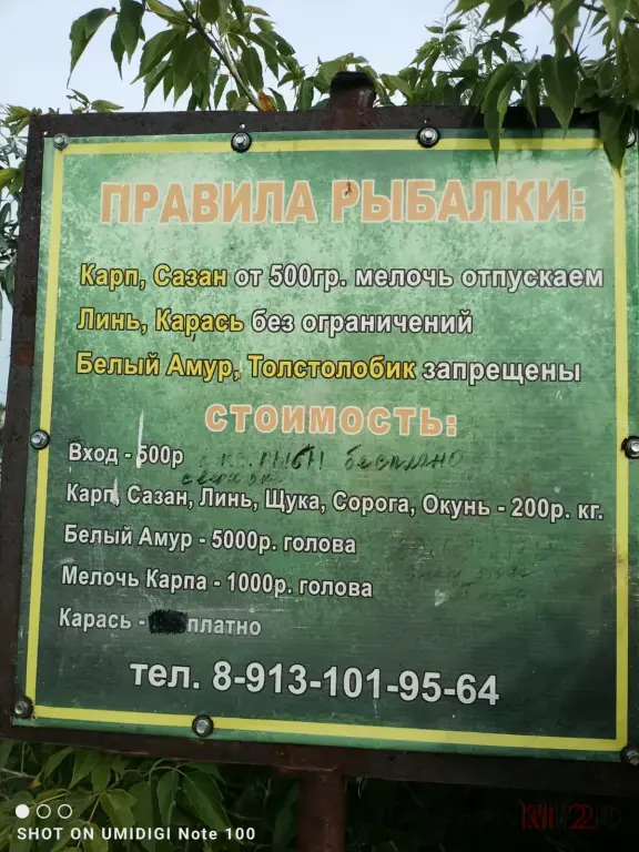 Рыболовная база "Изумрудная подкова" приглашает на платную рыбалку
