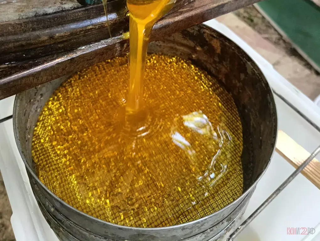 Продам МЕД подсолнечный.