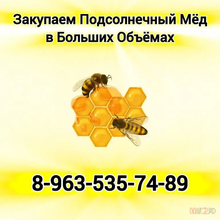 Закупаем подсолнечный мёд оптом! Расчет и тара сразу. Находимся в с.Шипуново