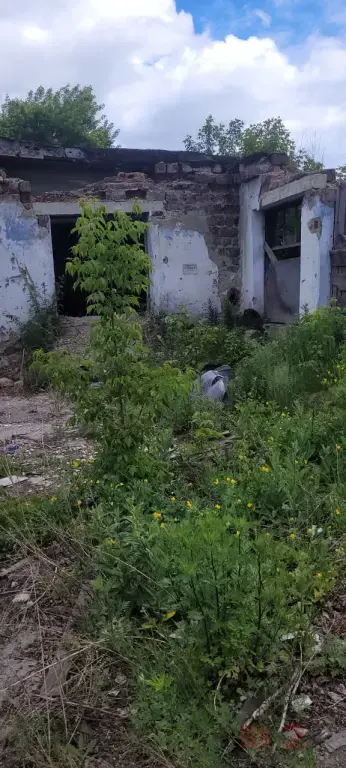 земельный участок и нежилые здания