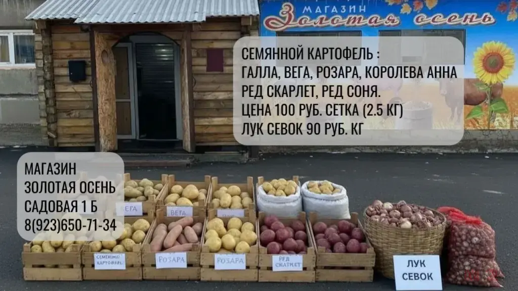 В продаже: семянной картофель, лук севок